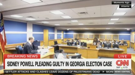 Sidney Powell Pleads Guilty in Georgia Case